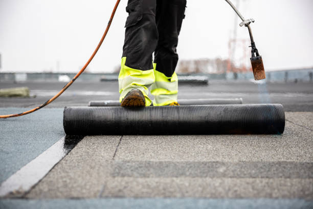 Roof Coating Services in Dunlap, IL